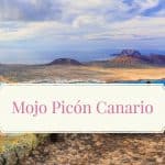 Receta Mojo Picón canario
