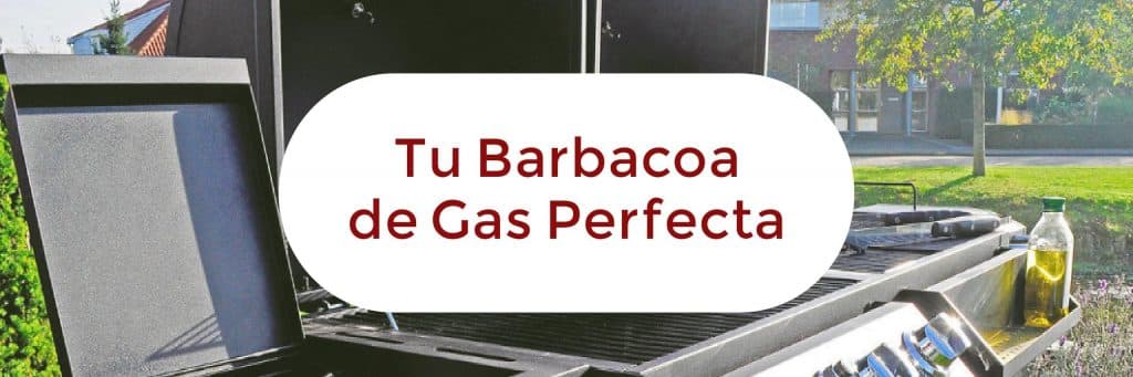 Barbacoa de Gas. Consejos y Conocimientos fundamentales 3