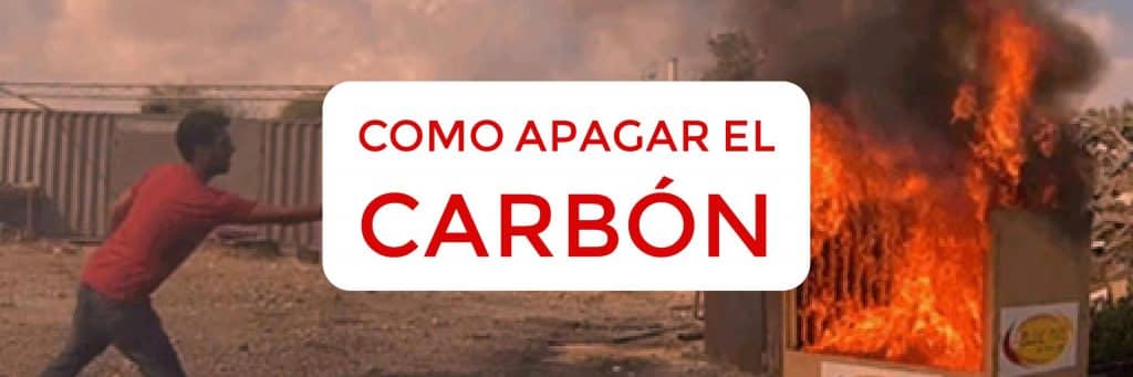 Carbón para Barbacoa, el Combustible para tus Domingos! 4